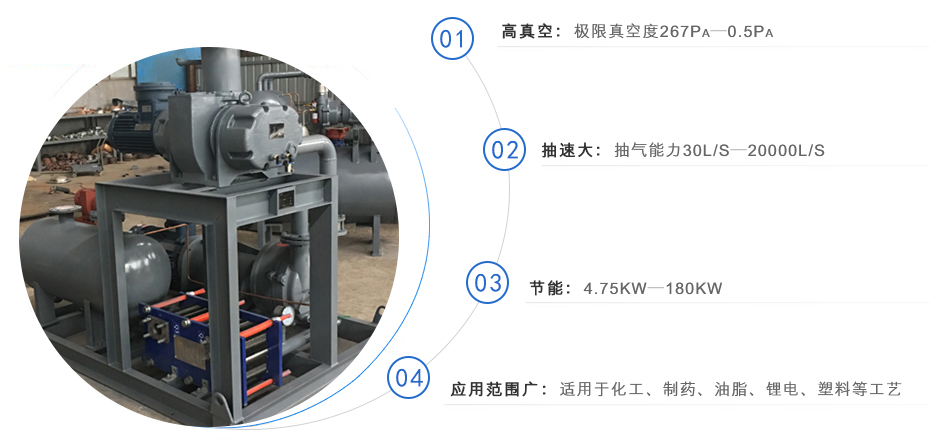 羅茨泵+水環(huán)真空泵機(jī)組